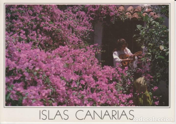 Postales: (1130) CANARIAS. BUGANVILLAS
