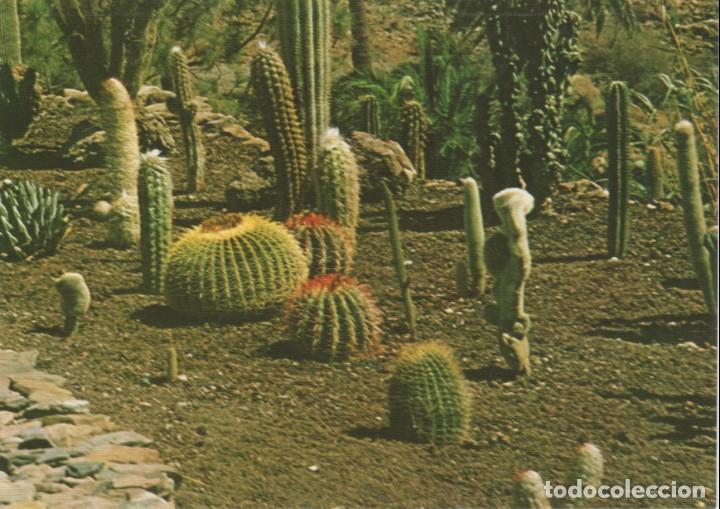 Postales: (7549) GRAN CANARIA. PALMITOS PARK. CACTUS