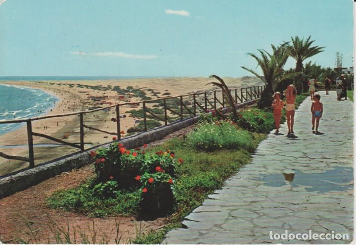 Postales: (5003) GRAN CANARIA. PLAYA DEL INGLES