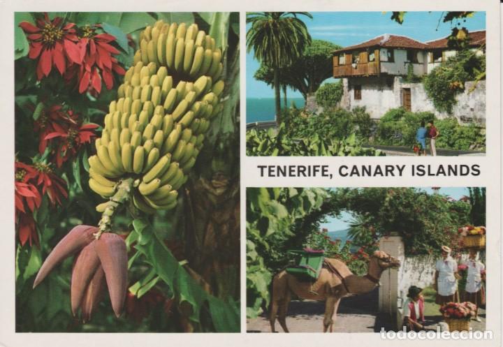 Postales: (34) TENERIFE. - Foto 1