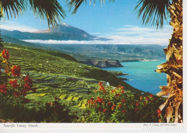 Postales: (12) TENERIFE - Foto 1