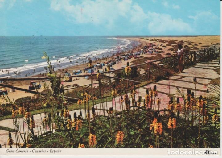 Postales: (0019) PLAYA DEL INGLES. GRAN CANARIA.