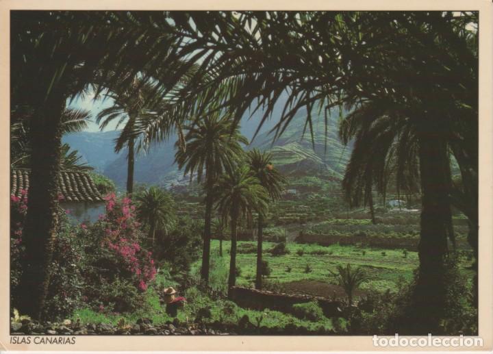 Postales: (38) VALLE DE AGAETE. BERRAZALES