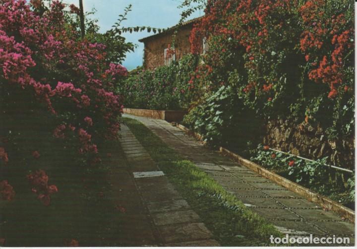 Cartoline: (486) ISLAS CANARIAS . PAISAJE TIPICO CON FLORES