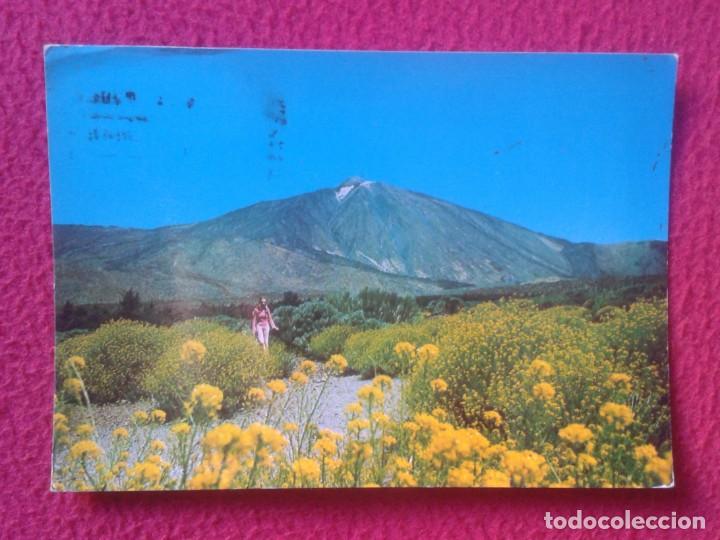 Postkarten: POSTAL POST CARD CARTE POSTALE ISLAS CANARIAS CANARY ISLANDS TENERIFE TEIDE FLORES VALLE DE UCANCA
