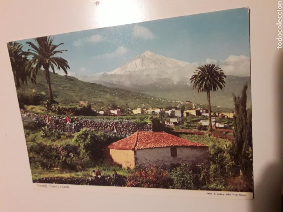 Postales: Postal tenerife - Foto 1