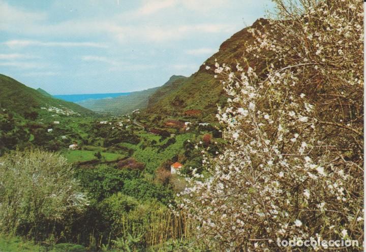 Postales: (6102) GRAN CANARIA. VALLE DE AGAETE