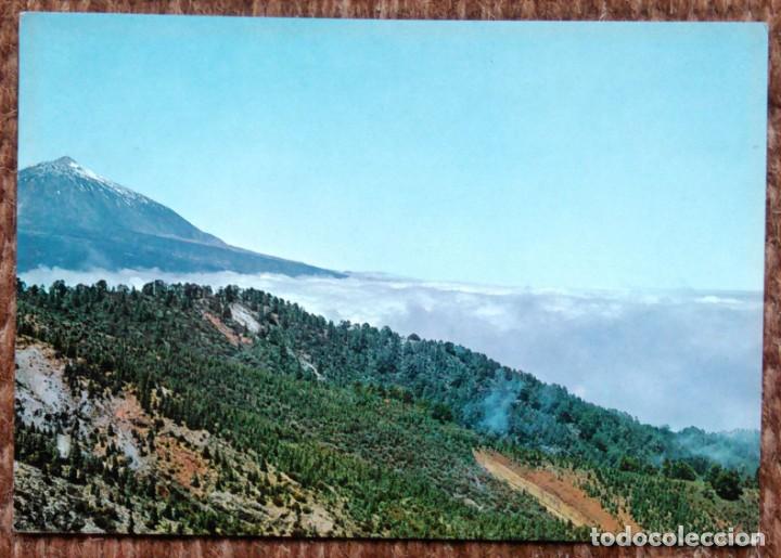 Postales: TENERIFE - MONTE DE LA ESPERANZA Y TEIDE - Foto 1