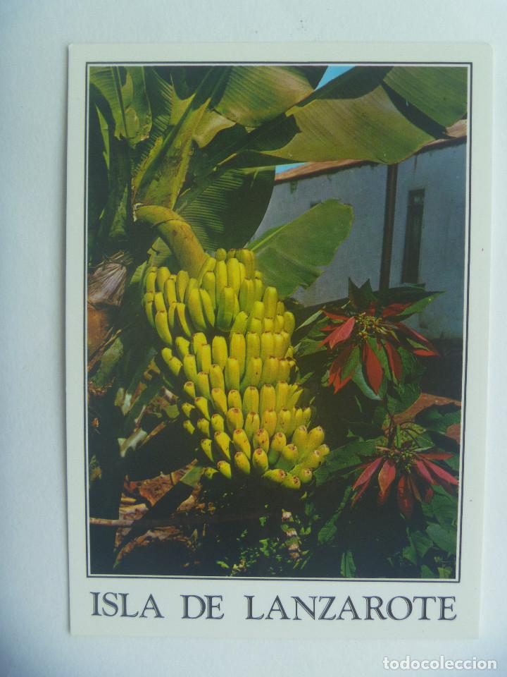 Postales: POSTAL DE LA ISLA DE LANZAROTE (  CANARIAS )
