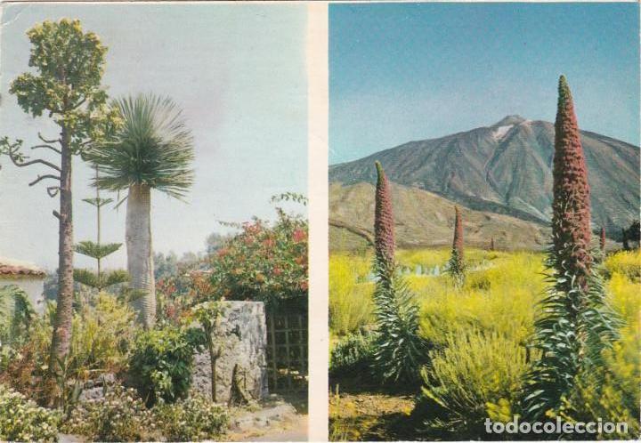 Cartes Postales: paisajes de canarias