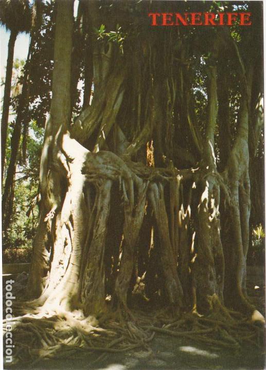 Cartes Postales: puerto de la cruz, jardin botanico, tenerife