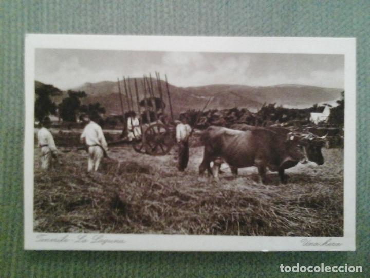 Cartes Postales: POSTAL TENERIFE-LA LAGUNA- UNA HERA