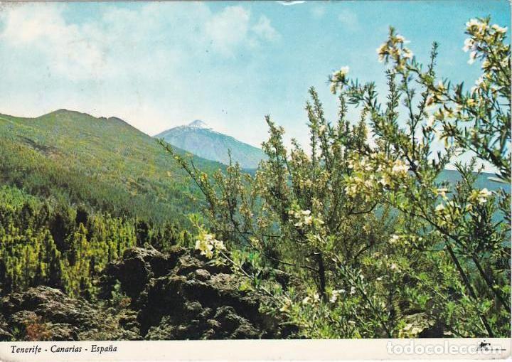 Postales: tenerife, pico del teide - Foto 1
