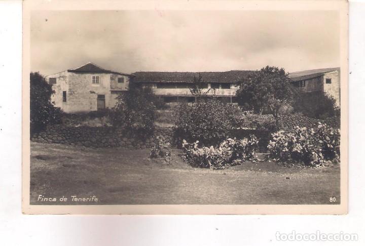 Cartoline: POSTAL FINCA DE TENERIFE .
