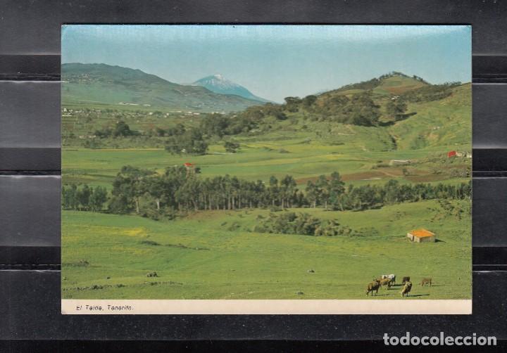 Postales: TENERIFE. EL TEIDE NEVADO - Foto 1