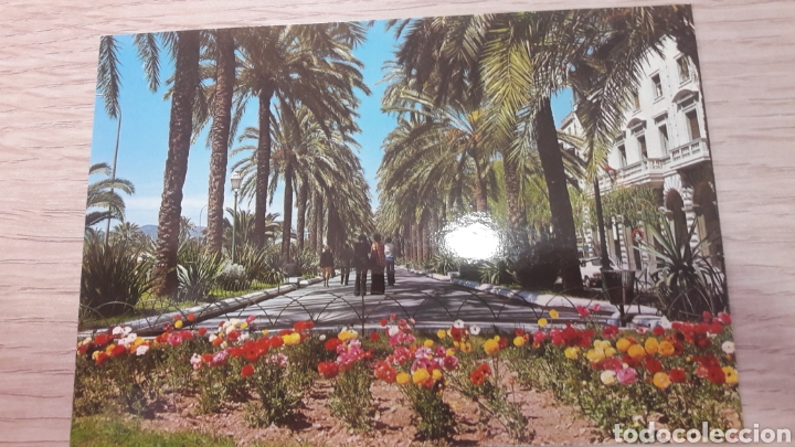Postales: Palma Mallorca paseo Segrera - Foto 1