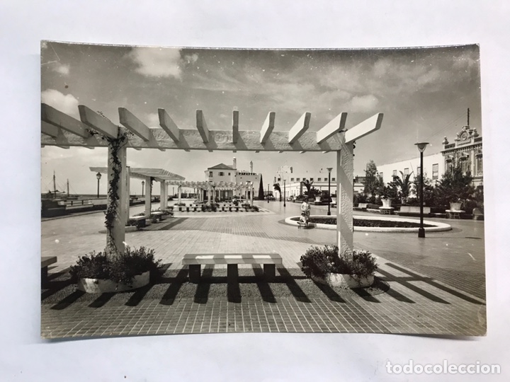 Postales: ARRECIFE DE LANZAROTE. Postal No.1013, Parque Municipal. Edita: ediciones Arribas (h.1960?)