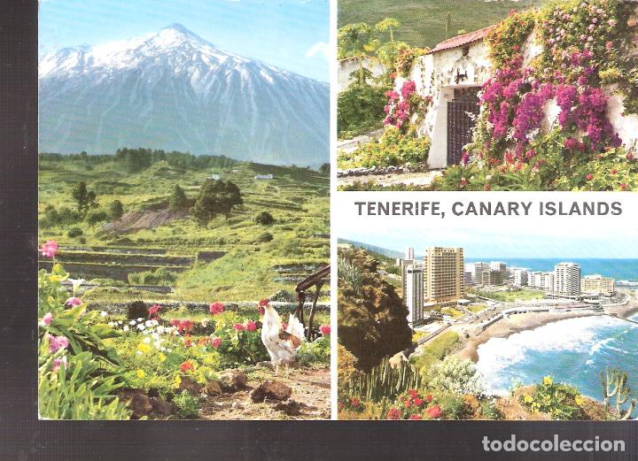 Postales: Tenerife. Islas Canarias. - Foto 1
