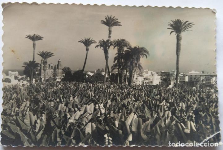 Postales: LAS PALMAS DE GRAN CANARIA - Foto 1