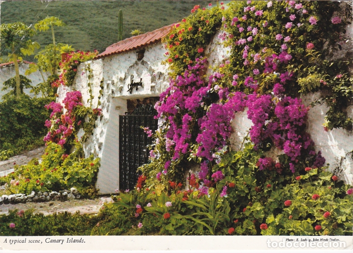 Postkarten: islas canararias