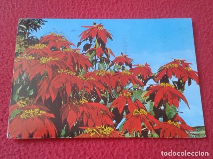 Postkarten: POSTAL POST CARD ISLAS CANARIAS CANARY ISLANDS FLORES DE CANARIAS FLOWERS SPAIN CON SELLOS STAMPS