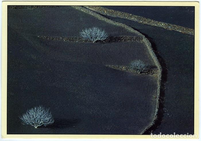 Postkarten: N&ordm; 4 - ISLAS CANARIAS. Circulada en 1986. Ed. LARSA. Foto REINER LOOS.