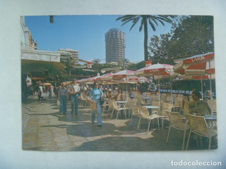 Postkarten: POSTAL DE GRAN CANARIAS : VISTA PARCIAL DEL PARQUE DE SANTA CATALINA