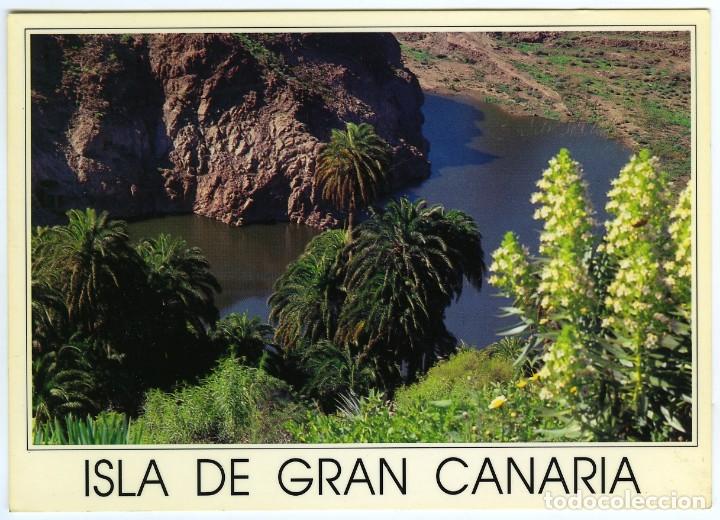 Postales: N&ordm; 12 - GRAN CANARIA. Ansite. El lago encantado. Sin circular. Ed. EDENFOTO.