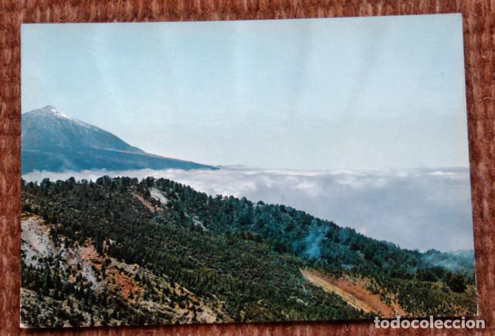 Postales: TENERIFE - MONTE DE LA ESPERANZA Y TEIDE - Foto 1