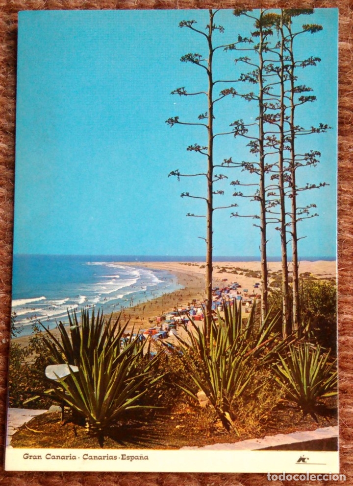 Postales: GRAN CANARIA - PLAYA DEL INGLES - Foto 1
