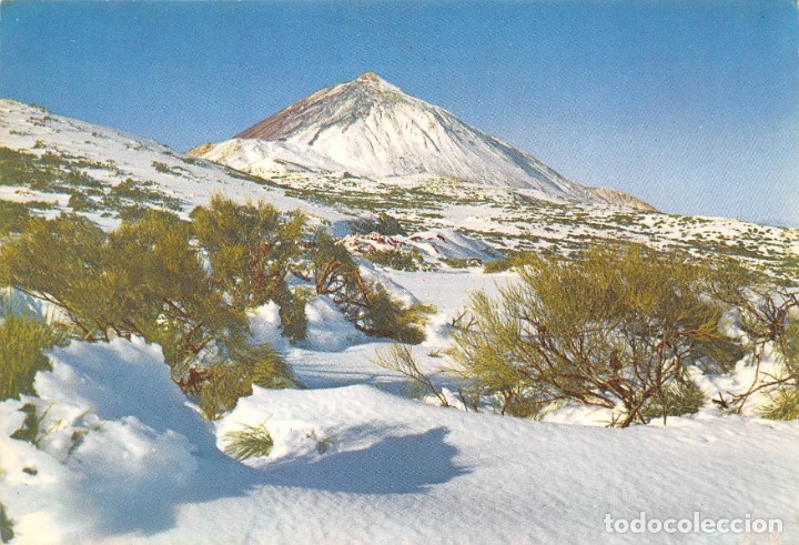 Postales: TENERIFE.- CA&Ntilde;ADAS Y TEIDE - Foto 1