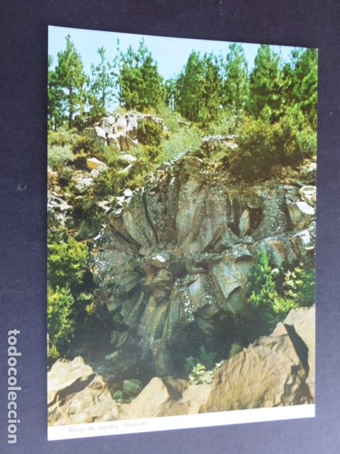 Postales: TENERIFE ROSA DE PIEDRA - Foto 1