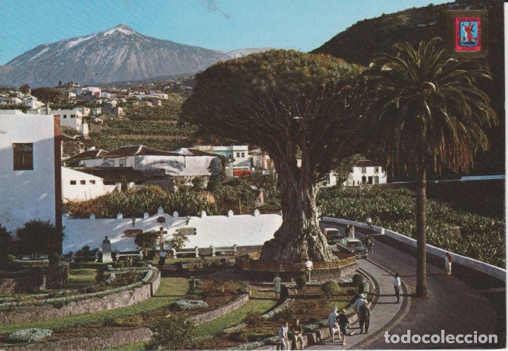 Postales: (243) ICOD DE LOS VINOS. EL DRAGO MILENARIO - Foto 1
