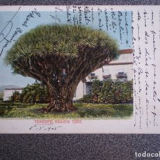 Postales: TENERIFE DRAGON TREE POSTAL CIRCULADA EN 1905. Lote 174543270