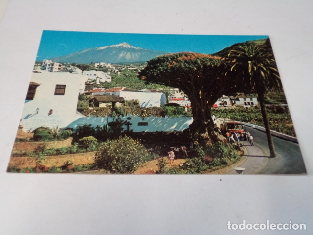 Postales: TENERIFE - POSTAL DRAGO MILENARIO Y TEIDE - Foto 1