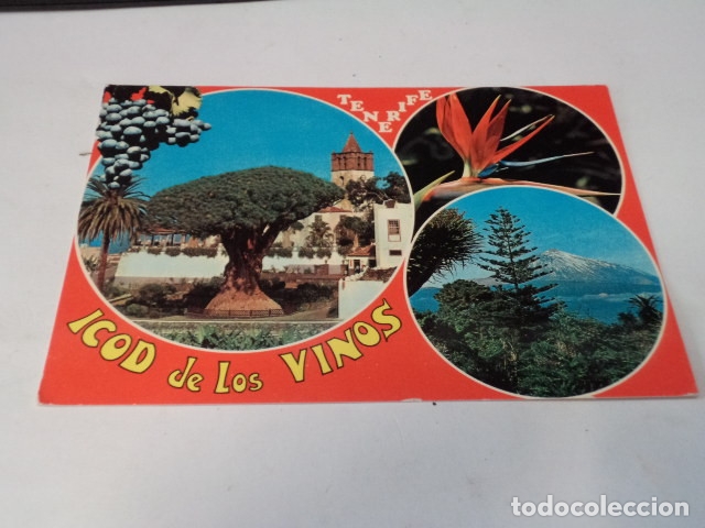 Postales: TENERIFE - POSTAL ICOD DE LOS VINOS - Foto 1