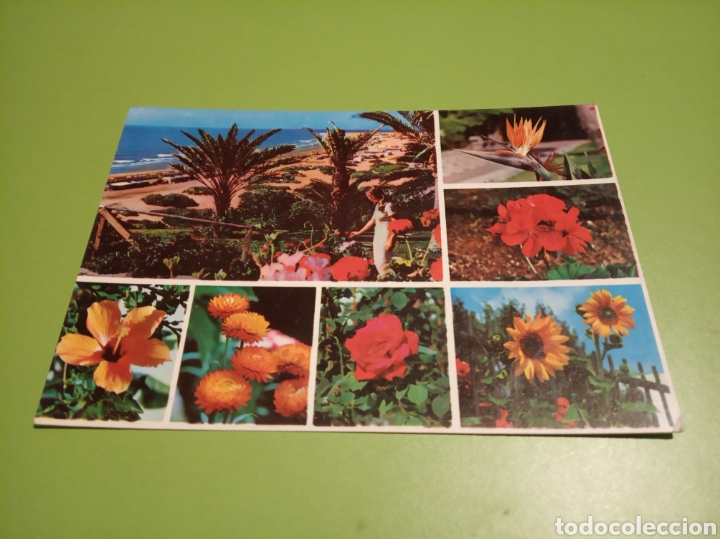 Postales: Gran Canaria - Foto 1