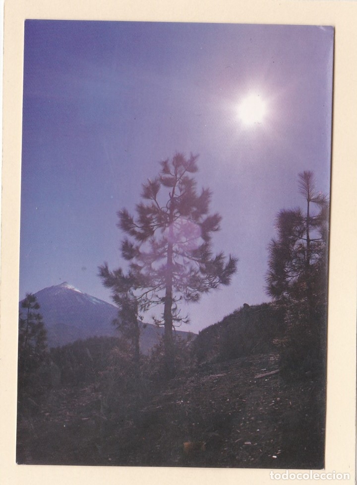 Postales: POSTAL TEIDE. TENERIFE (1976) - Foto 1