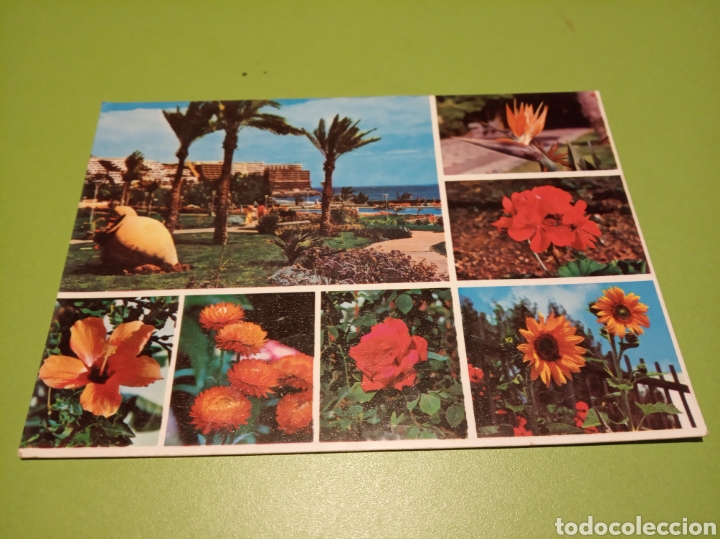 Postales: Gran Canaria - Foto 1