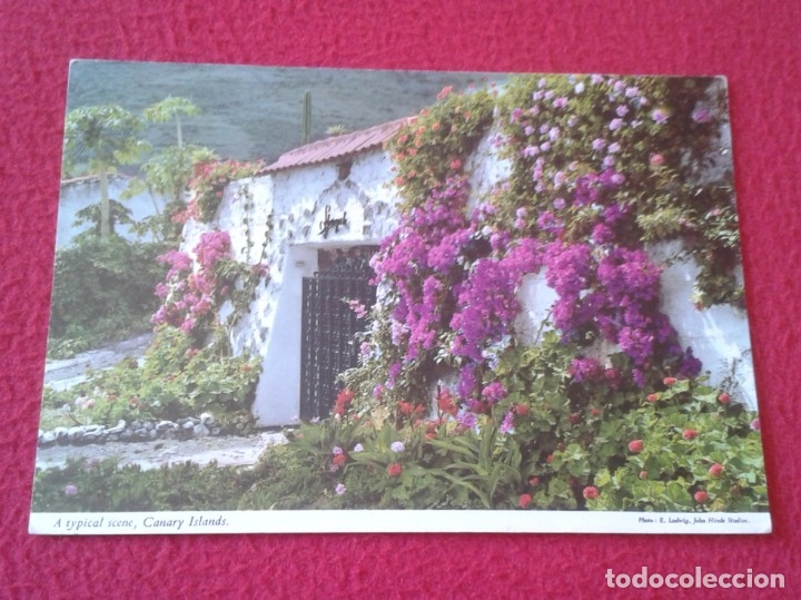 Postais: POSTAL POST CARD ISLAS CANARIAS CANARY ISLANDS PORTADO DE UNA RESIDENCIA CAMPESTRE ESPAGNE SPAIN VER