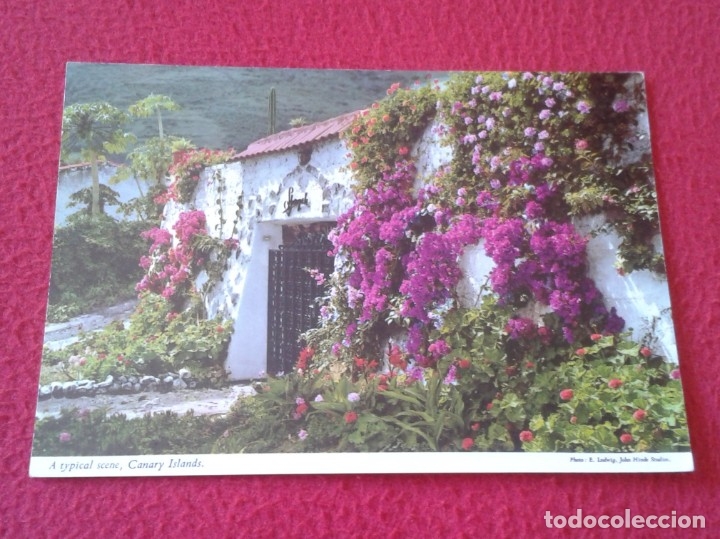 Postais: POSTAL POST CARD ISLAS CANARIAS CANARY ISLANDS PORTADO DE UNA RESIDENCIA CAMPESTRE ESPAGNE SPAIN VER