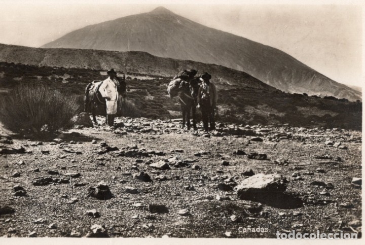 Postales: tenerife. ca&ntilde;adas - Foto 1