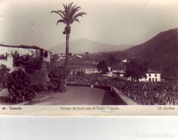 Postales: TENERIFE ICOD - Foto 1