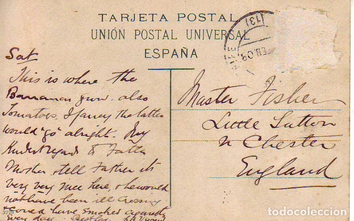 Postales: TENERIFE  PLATANERA - Foto 2
