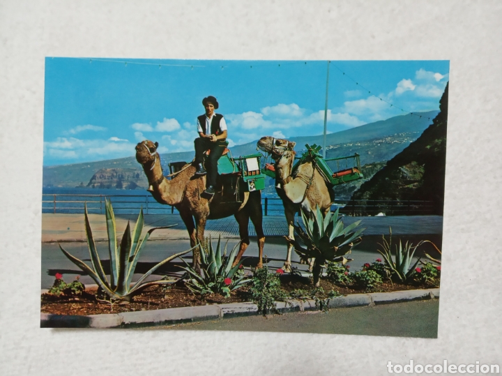 Postales: Tenerife - Foto 1