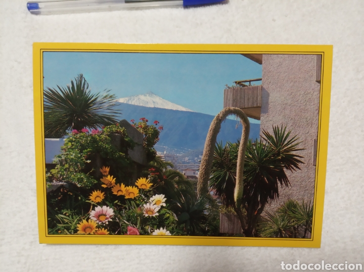 Postales: Tenerife - Foto 1