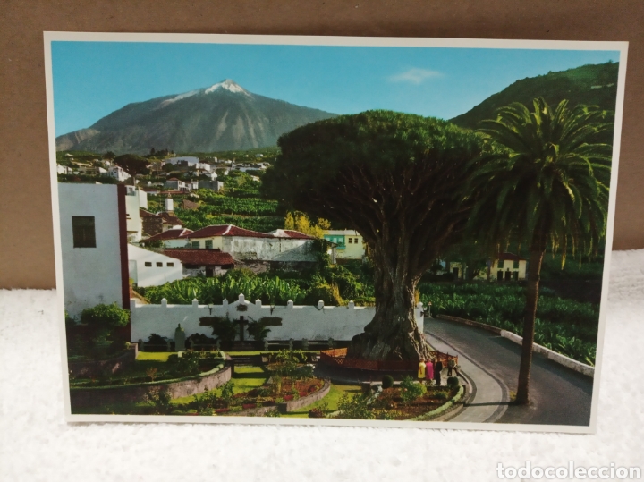 Postales: Tenerife - Foto 1