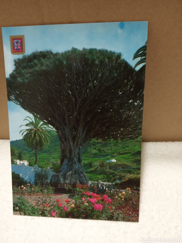 Postales: Tenerife - Foto 1