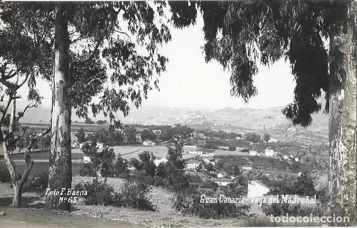 Cartes Postales: POSTAL N&ordm; 65 GRAN CANARIAS VEGA DEL MADRO&Ntilde;AL .