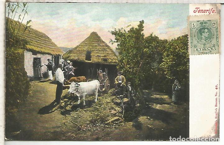 Postales: TENERIFE SIN ESCRIBIR - Foto 1